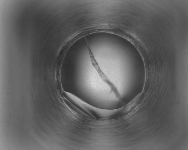 X0000073921402200608251537