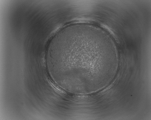 X0000073921403200608251537