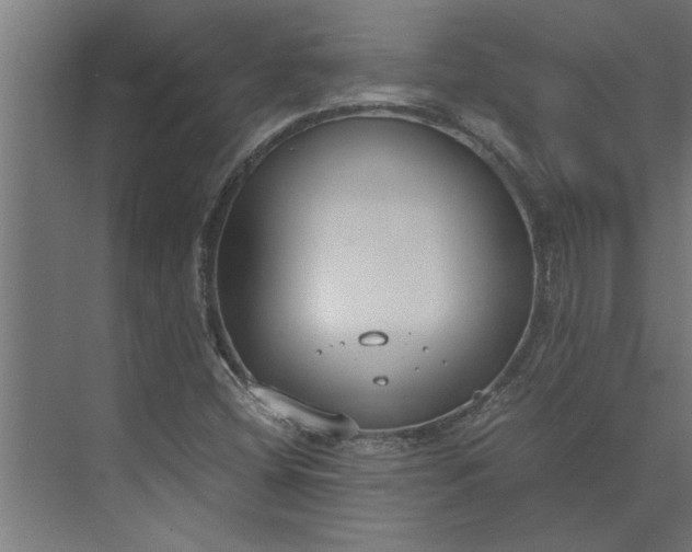 X0000073921404200608251537