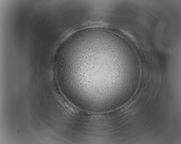 X0000073921407200608251537