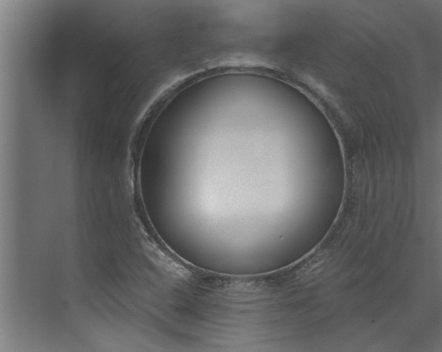 X0000073921408200608251537