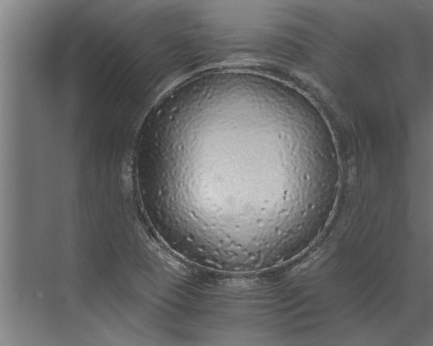 X0000073921409200608251537