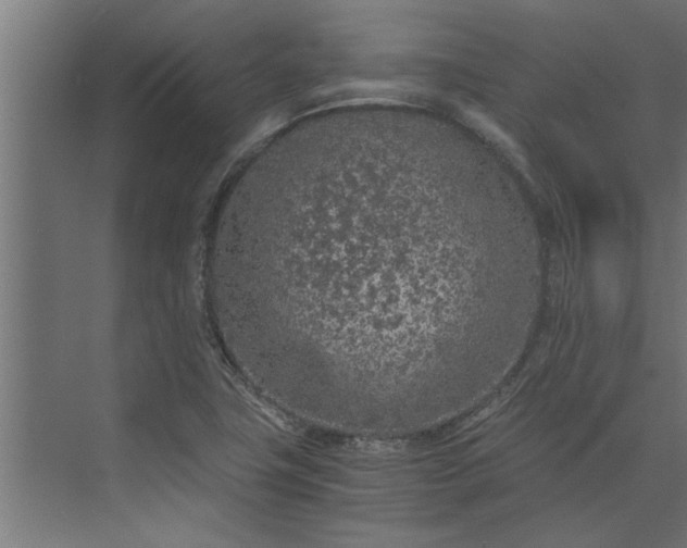 X0000073921411200608251537