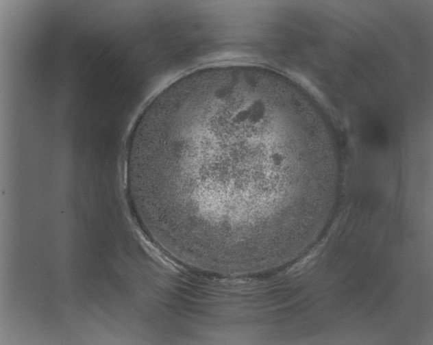 X0000073921413200608251537