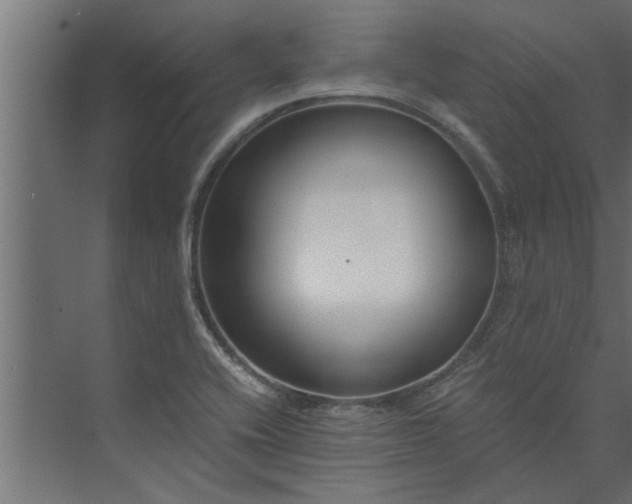 X0000073921416200608251537