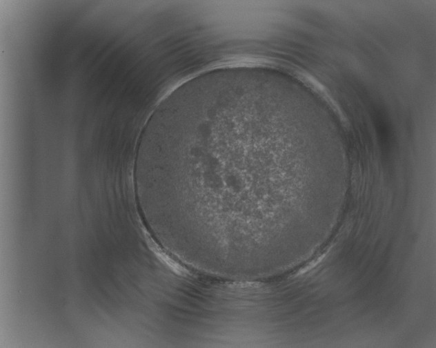 X0000073921417200608251537