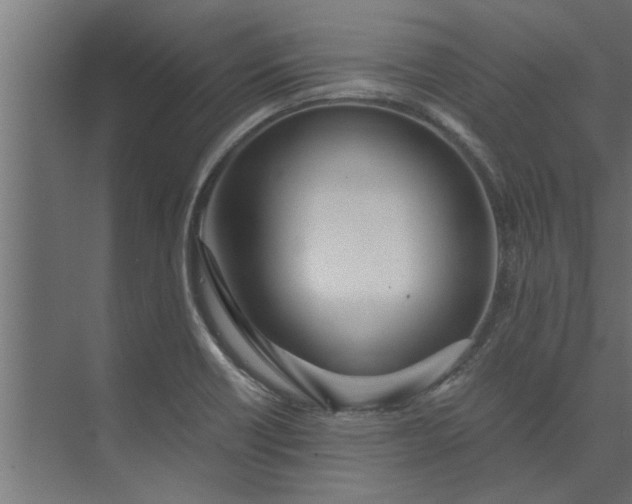 X0000073921418200608251537