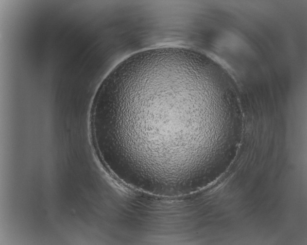 X0000073921423200608251538