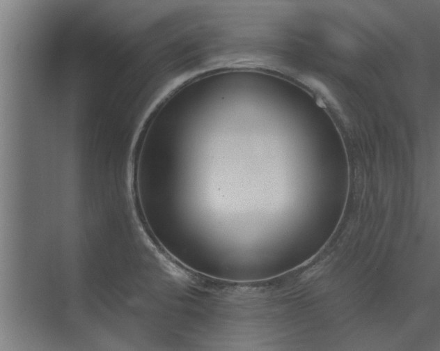 X0000073921424200608251538