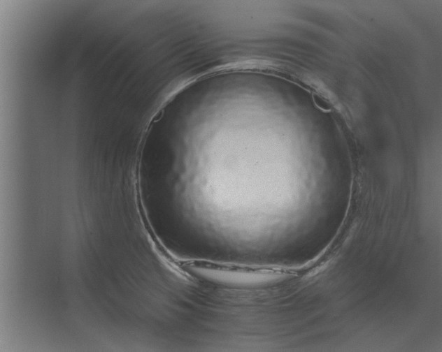 X0000073921425200608251538