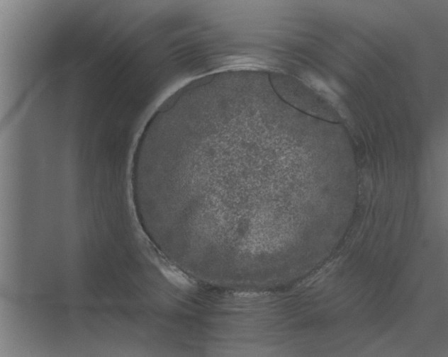 X0000073921427200608251538