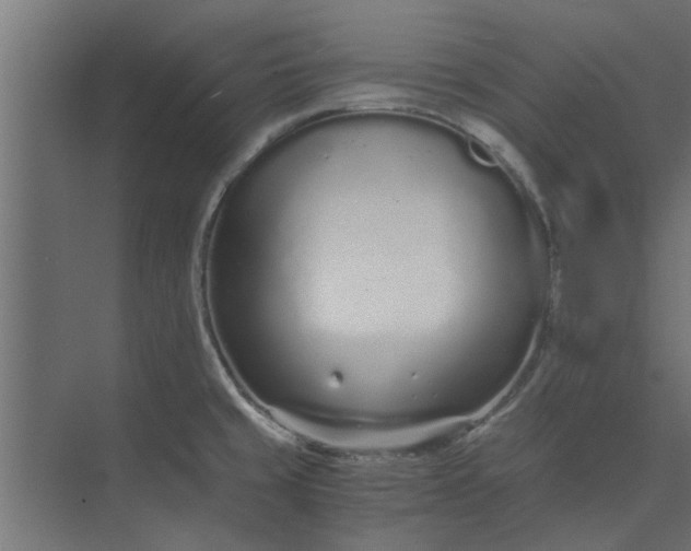 X0000073921429200608251538