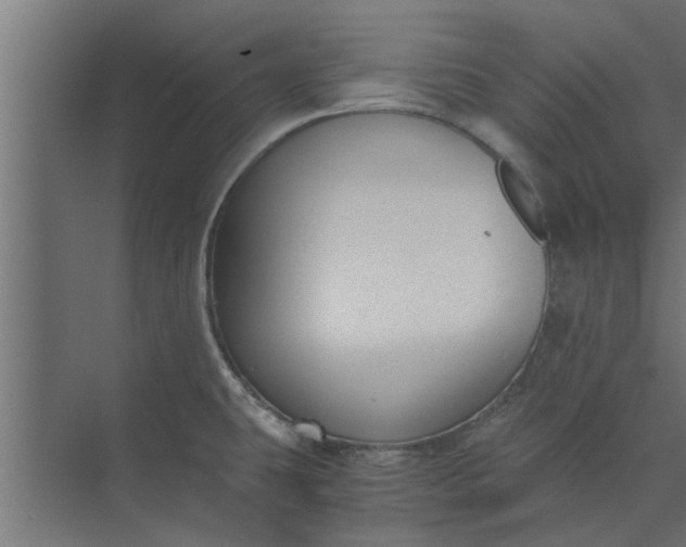 X0000073921431200608251538