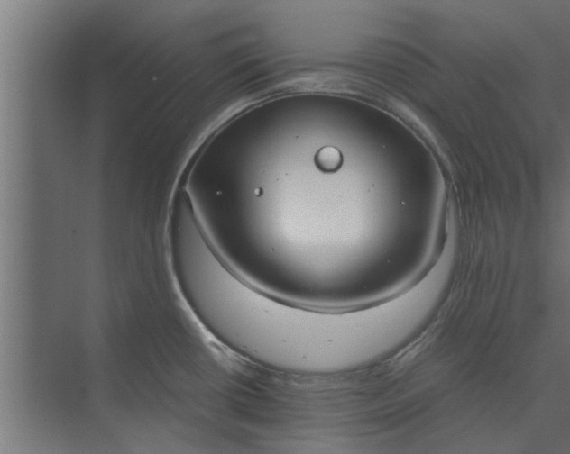 X0000073921434200608251538