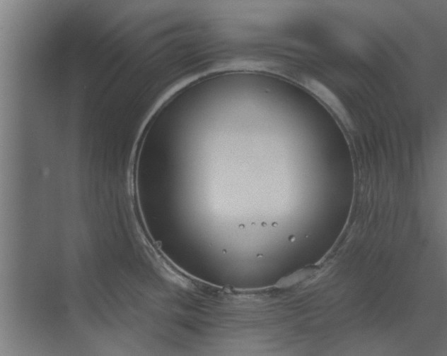 X0000073921436200608251538