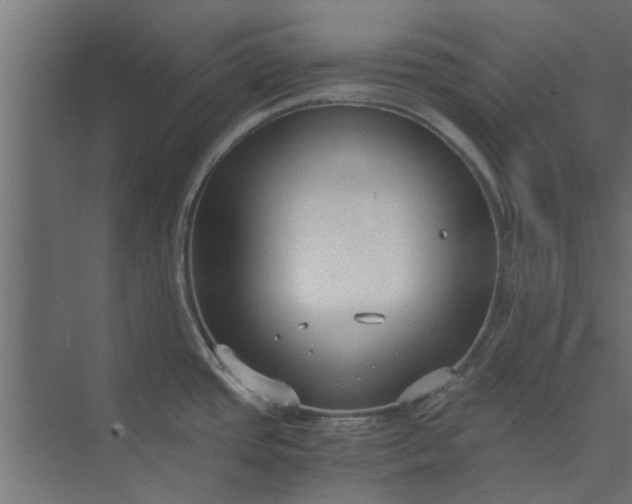 X0000073921437200608251538