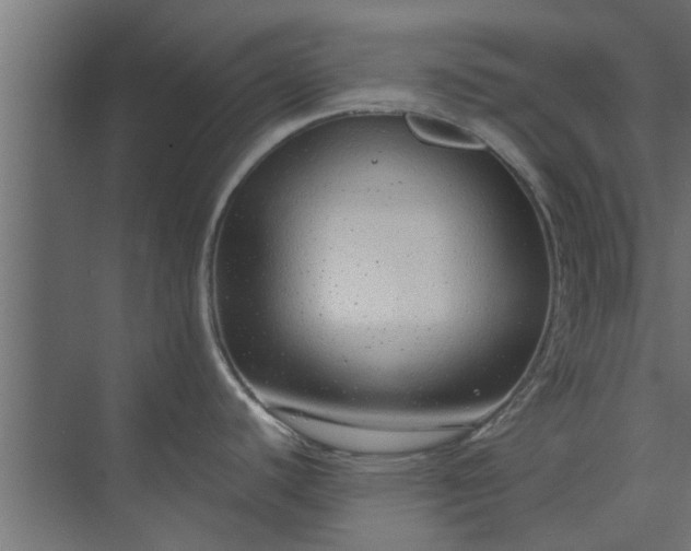 X0000073921440200608251538