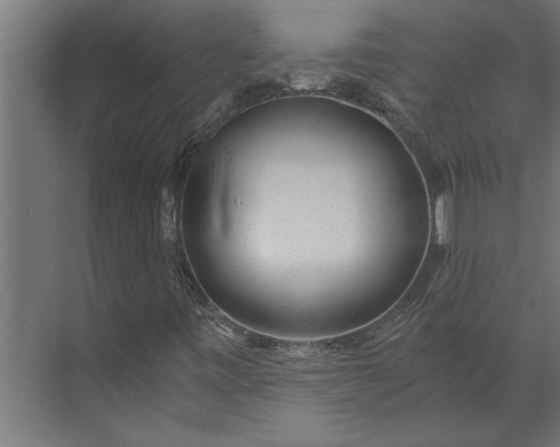 X0000073921443200608251537