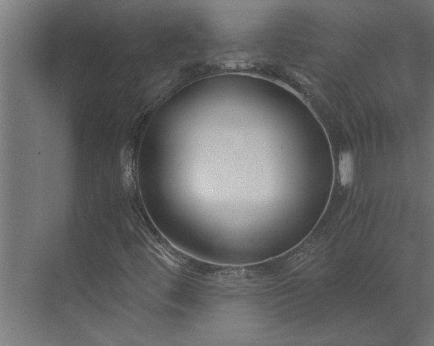 X0000073921444200608251537