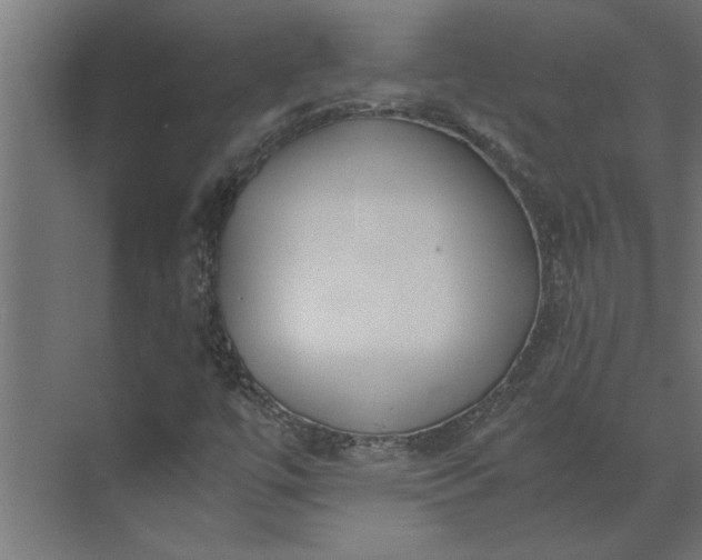 X0000073921447200608251537