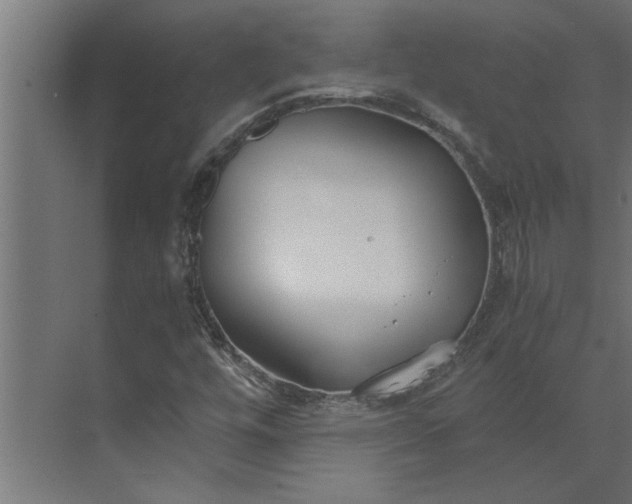 X0000073921448200608251537