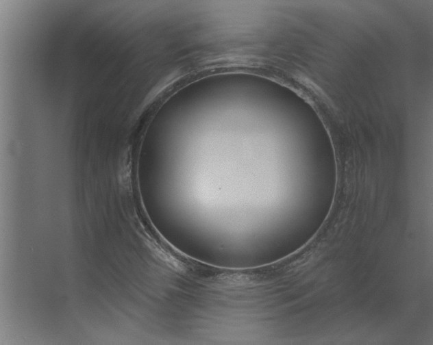 X0000073921450200608251537