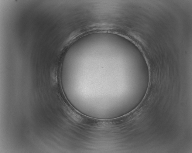 X0000073921451200608251537