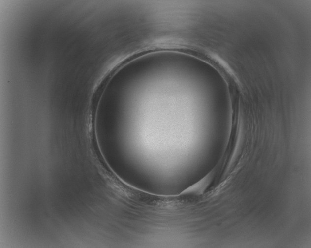 X0000073921461200608251537