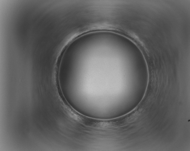 X0000073921463200608251537