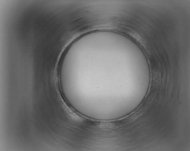 X0000073921466200608251537