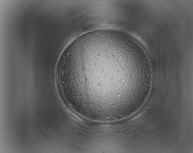 X0000073921467200608251537