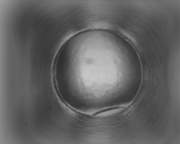 X0000073921471200608251536