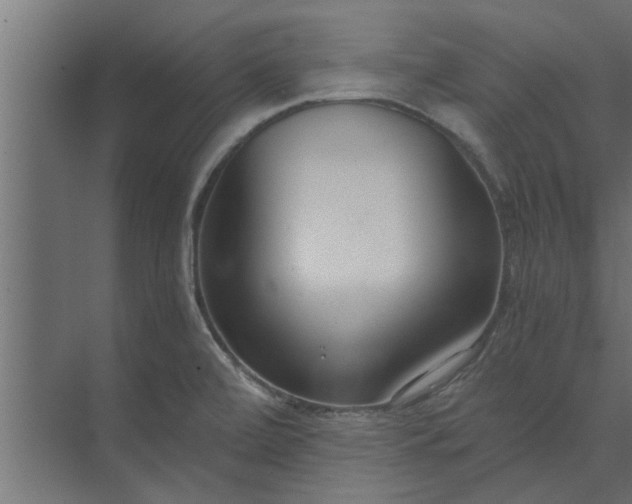 X0000073921472200608251536