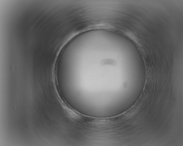 X0000073921474200608251536