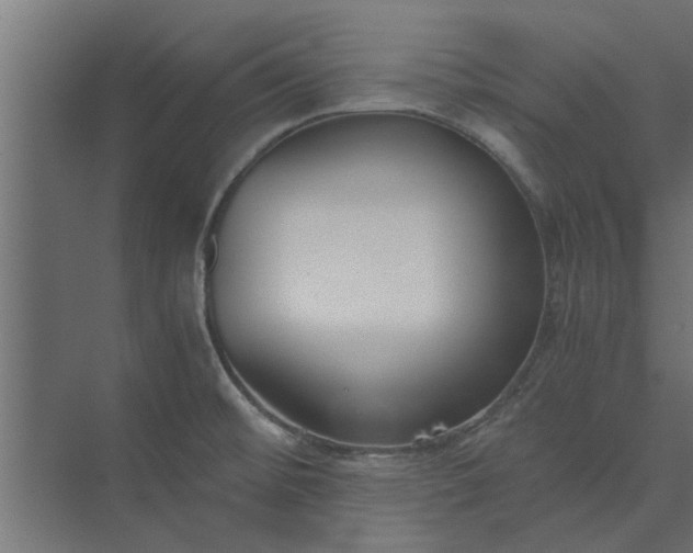 X0000073921476200608251536