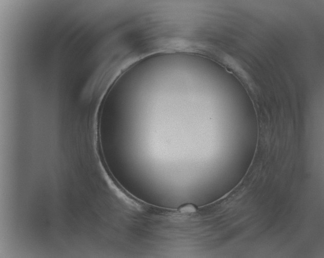 X0000073921479200608251536