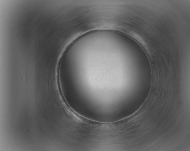 X0000073921480200608251536