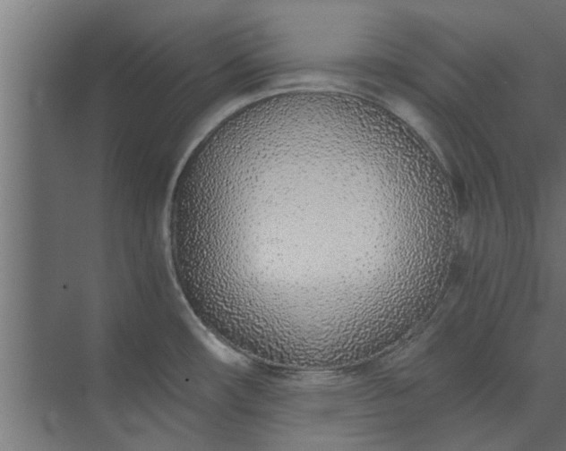 X0000073921482200608251536