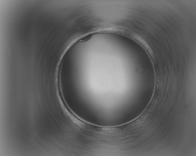 X0000073921483200608251536