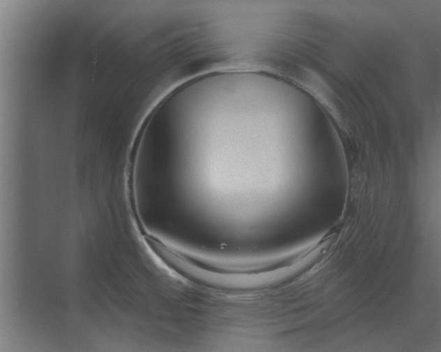 X0000073921484200608251536