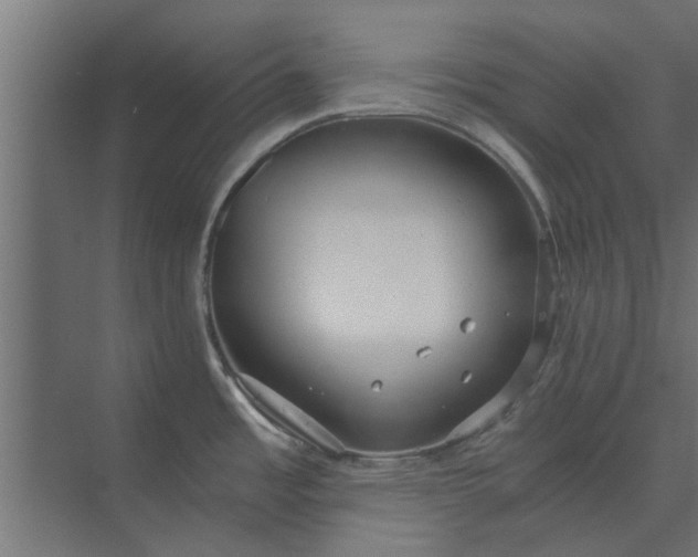 X0000073921485200608251536