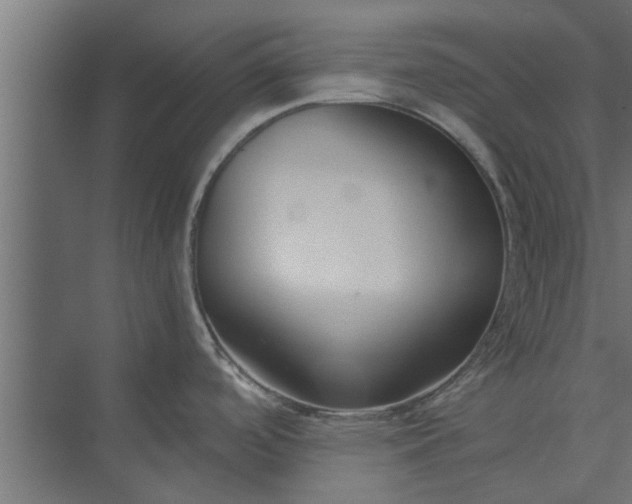 X0000073921488200608251536