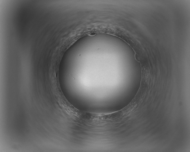 X0000073921489200608251535