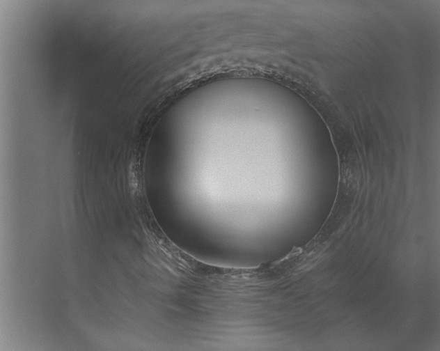 X0000073921490200608251535