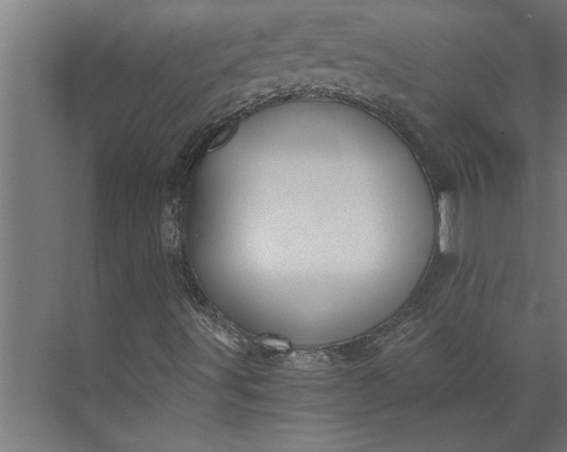 X0000073921491200608251535