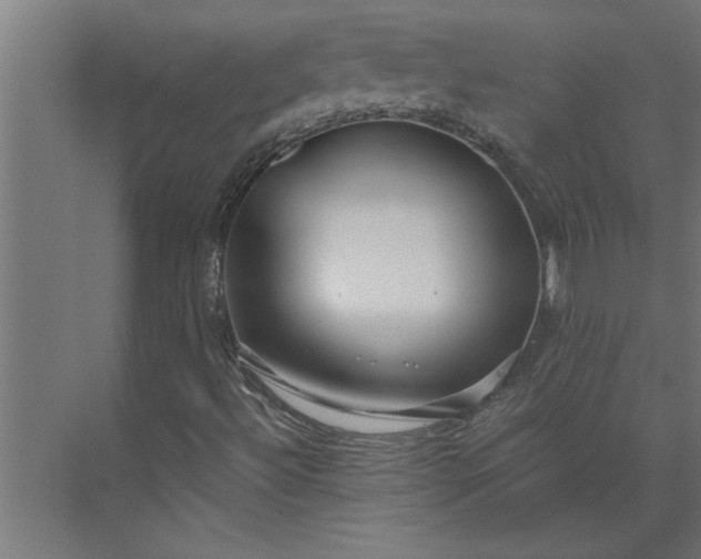 X0000073921492200608251535