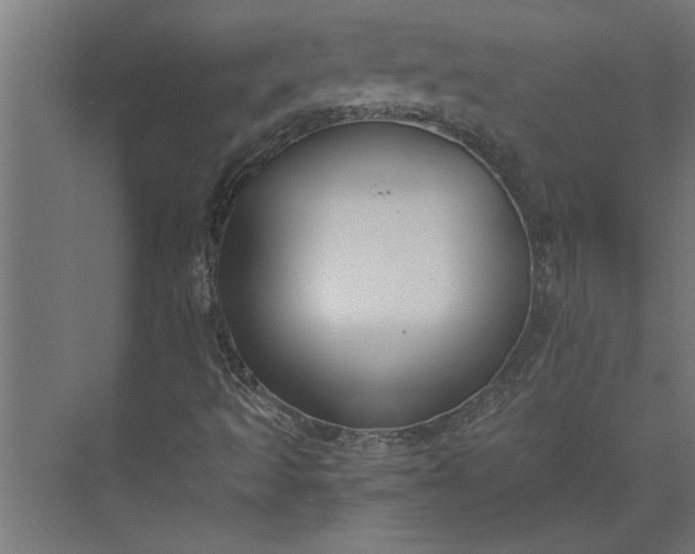 X0000073921493200608251535