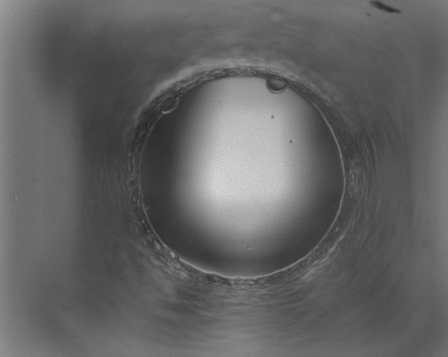 X0000073921494200608251535