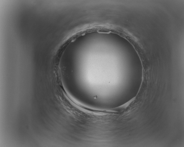 X0000073921496200608251536