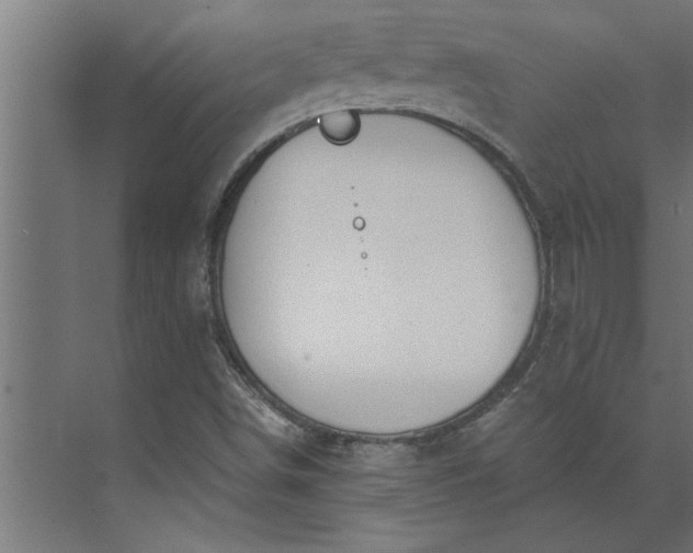 X0000073921498200608251536